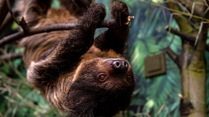 Urodzinowe atrakcje w łódzkim ZOO 