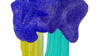  -  na białym tle jest roślina z jedną turkusową i drugą żółtą łodygą – obie dość grube. roślina ma ciemnoniebieski kwiatostan.