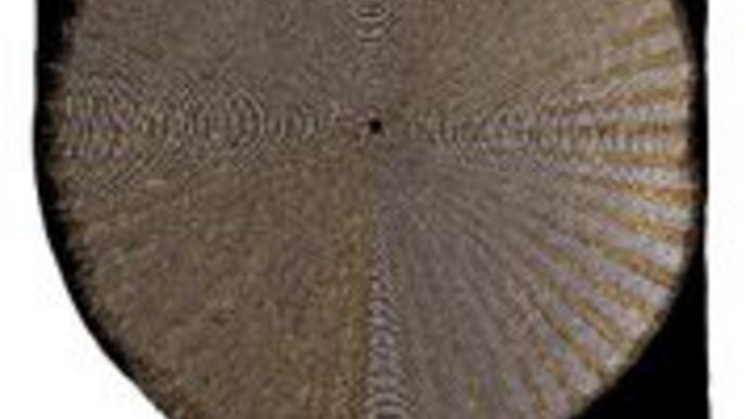 Włodzimierz Cygan „1999”, 350x320 cm, wełnopodobne, sizal,1998 - fot. mat. pras. Centralne Muzeum Włókiennictwa w Łodzi