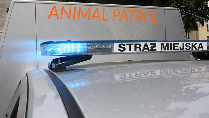 Na pomoc zwierzętom 