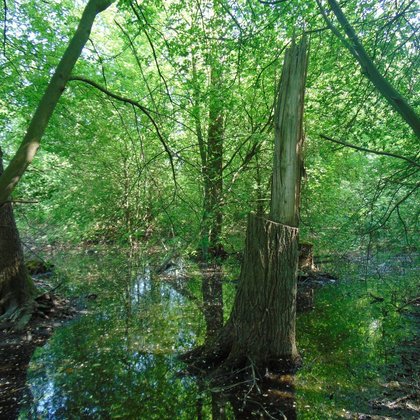 Źródła Neru, fot. ŁÓDŹ.PL