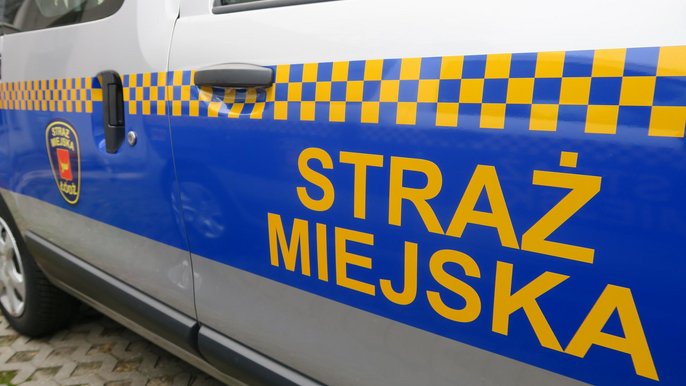 Wykroczenia w ruchu drogowym 