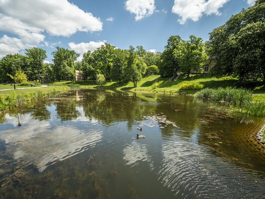 fot. Stefan Brajter / UMŁ