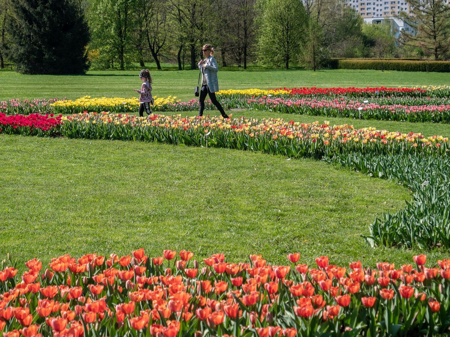 Ogród Botaniczny w Łodzi, fot. Łódź.pl