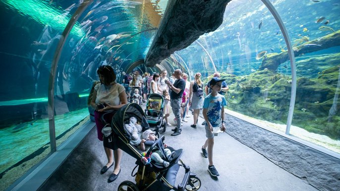 Orientarium w Łodzi - fot. ŁÓDŻ.PL