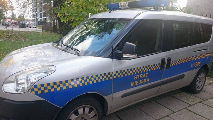 Działania patroli w terenie 