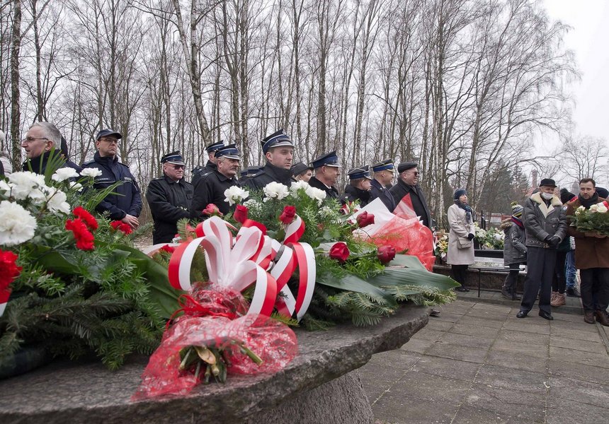 foto Andrzej Janecki