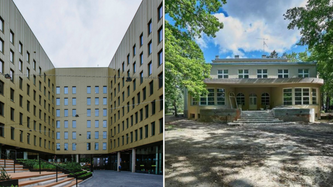 TME Polówka 2023 - ARTHOUSE 