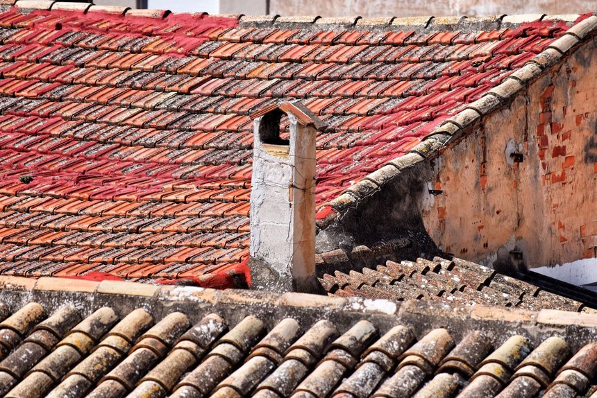 fot. Envato Elements