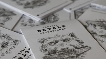 Zdjęcie promujące wydarzenie: Spacer "Szlakiem detali przemysłowych" -  mat. pras. CMWŁ