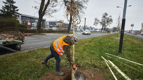 fot. ŁÓDŹ.PL