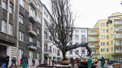 fot. Konrad Ciężki