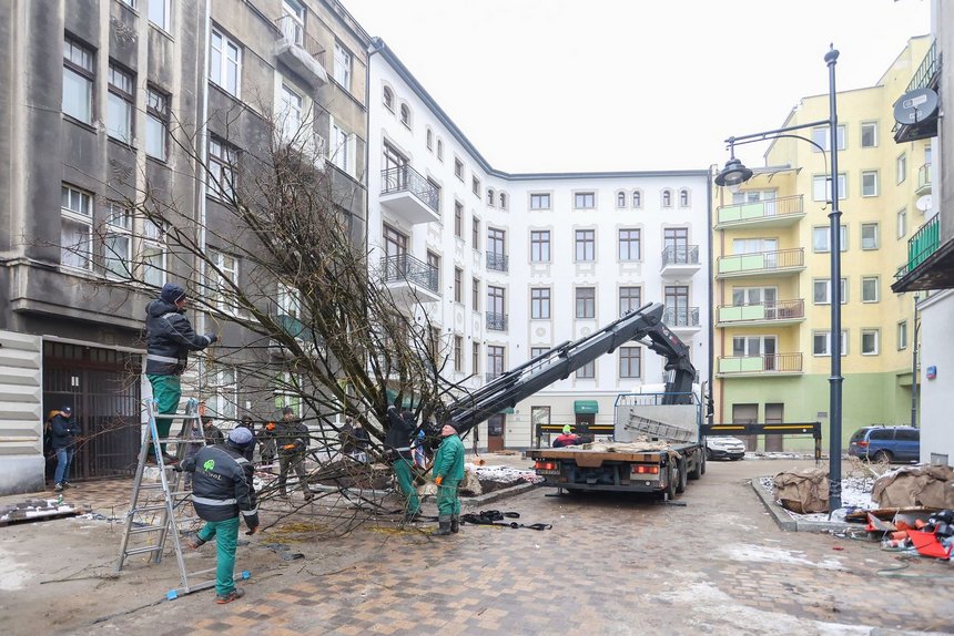 fot. Konrad Ciężki