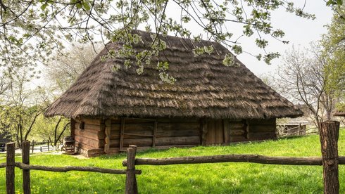 fot. Envato Elements