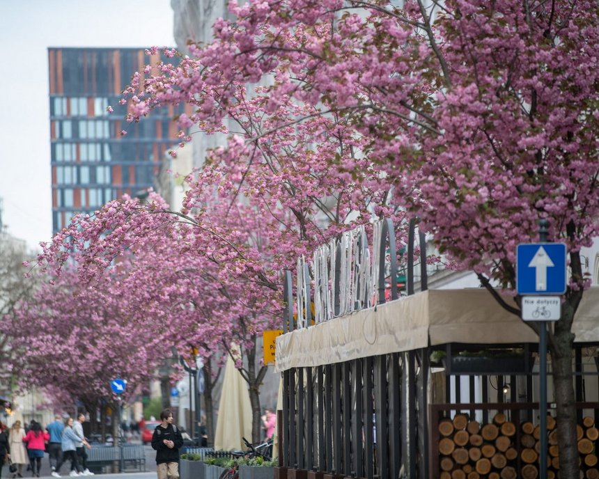 fot. ŁÓDŹ.PL