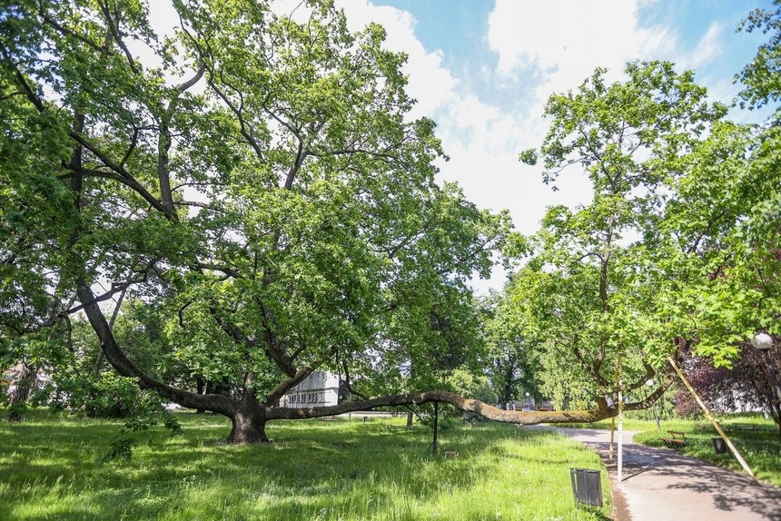 fot. Konrad Ciężki