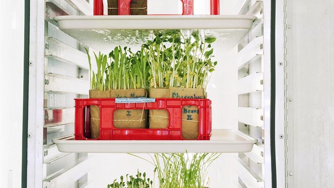 "Dornith Doherty, Archiving Eden" - Art_Inkubator - wystawa w ramach Fotofestiwal 2018 - mat. pras. Fotofestiwal