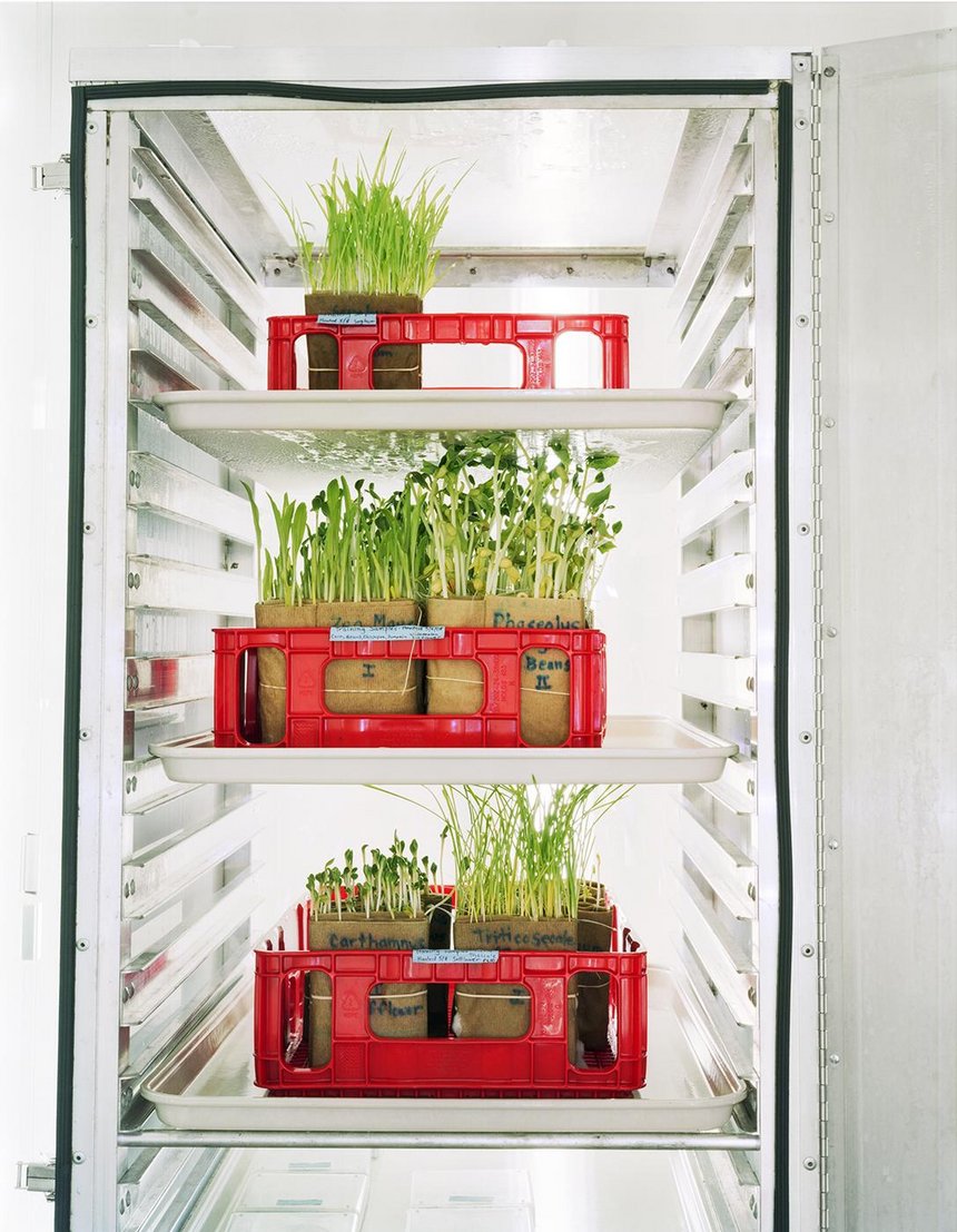 mat. pras. Fotofestiwal