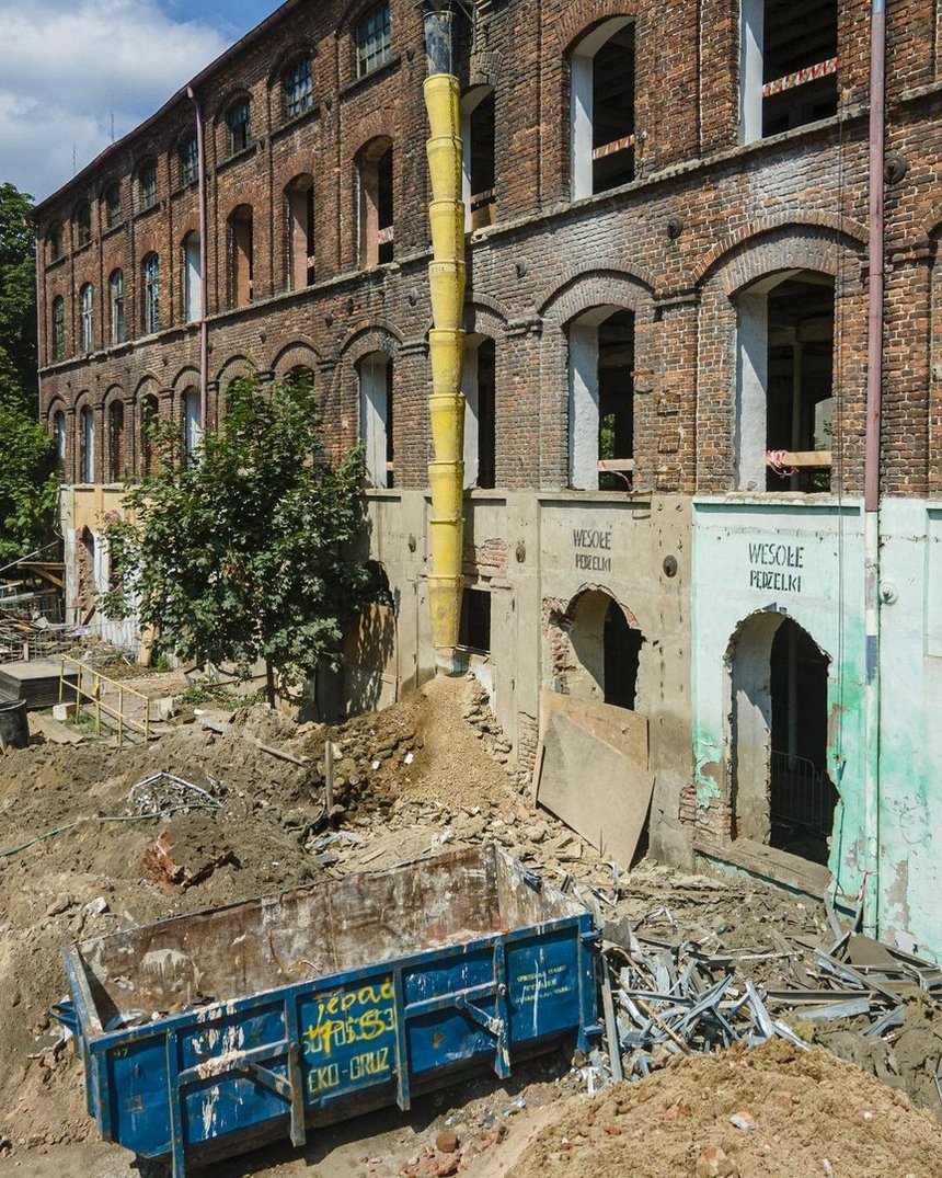 fot. Stefan Brajter / UMŁ