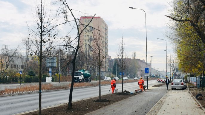 Przy okazji kolejnych inwestycji sadzimy drzewa i tysiące ozdobnych krzewów - fot. Paweł Łacheta / UMŁ