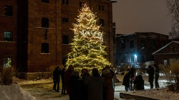 Fuzja w świątecznym klimacie  