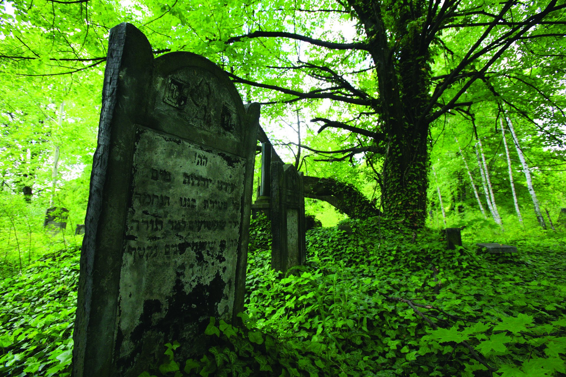 Jewish Cemetery 