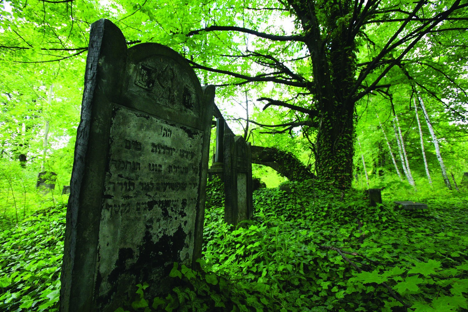 Jewish Cemetery