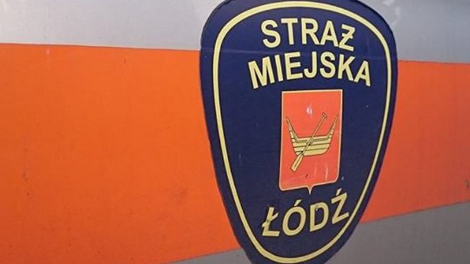 Interwencje strażników 