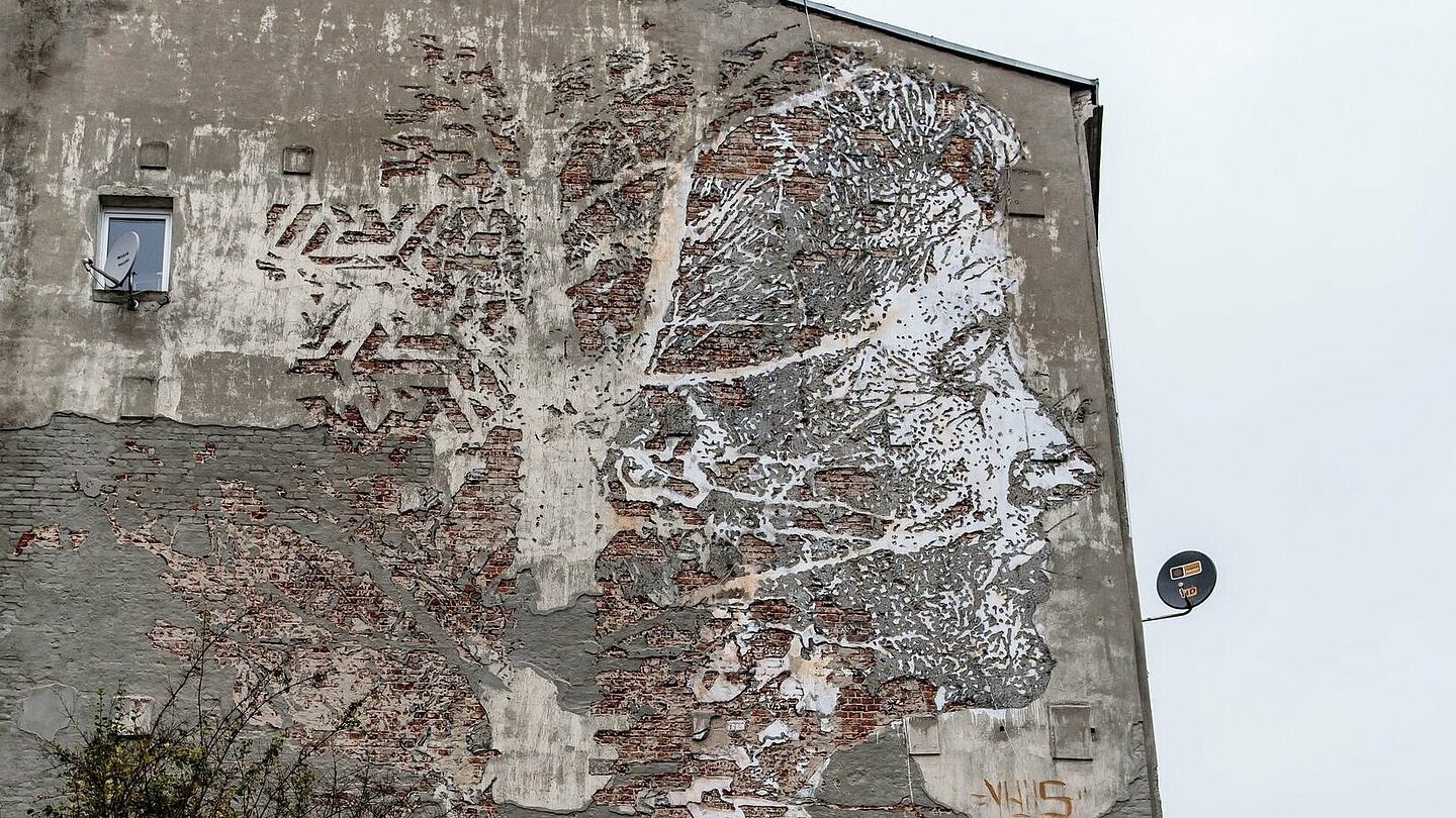  , Mural wykuty w tynku przedstawiający profil kobiecej twarzy z wykombinowanym elementem drzewa
