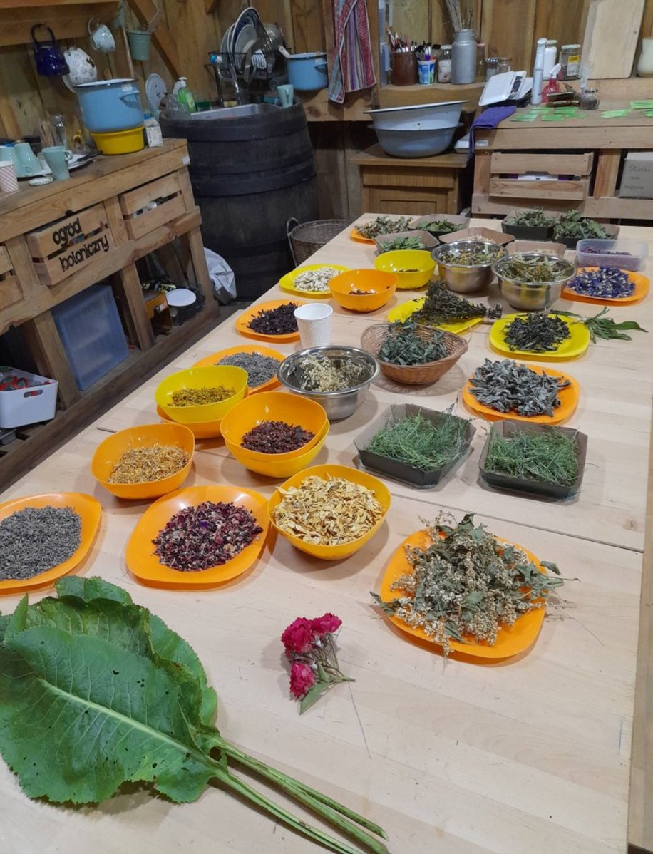 Eko Aktywni Bez Barier