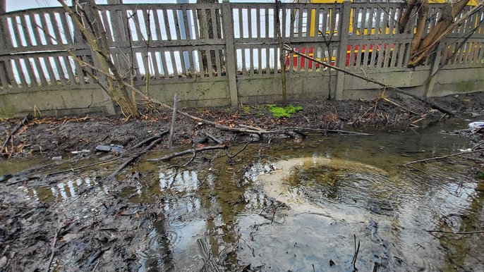 Źródełko na terenie zajezdni Chocianowice - fot. ZWiK