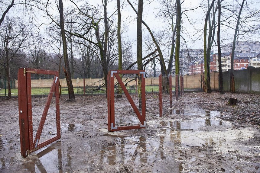 Fot. Radosław Jóźwiak / UMŁ