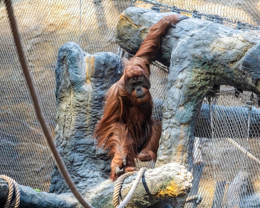 fot. Orientarium w Łodzi