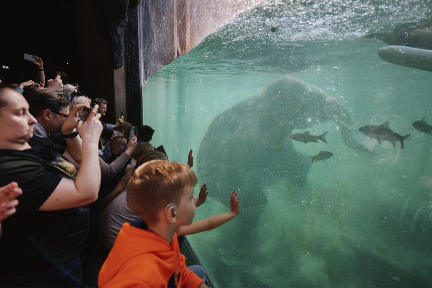 fot. Radosław Jóźwiak