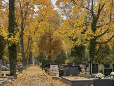 Fot. Radosław Jóźwiak/UMŁ