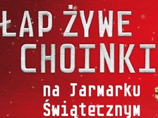 fot. mat. Manufaktura