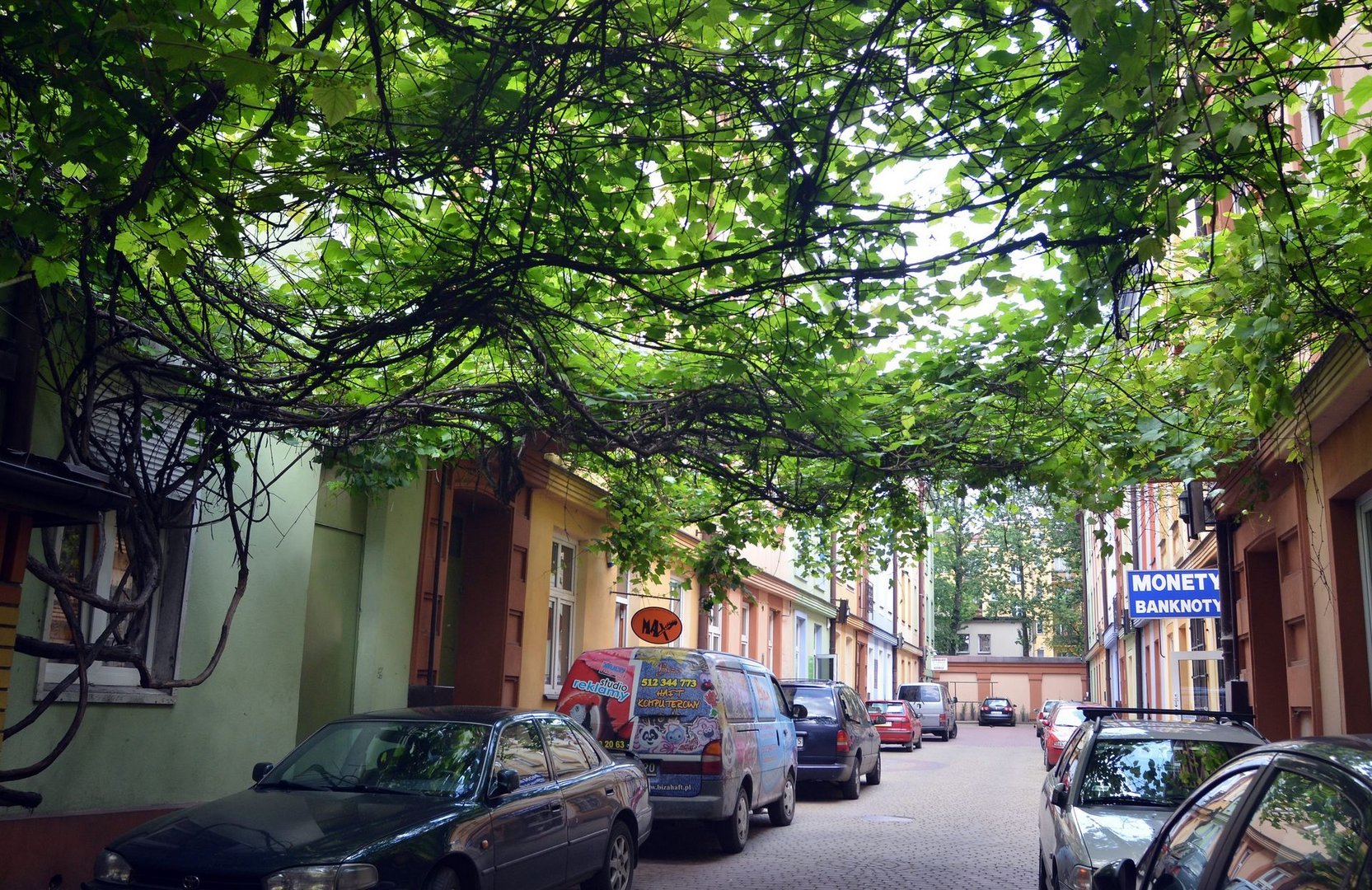 Двір вулиці Piotrkowska 42, фото ŁÓDŹ.PL