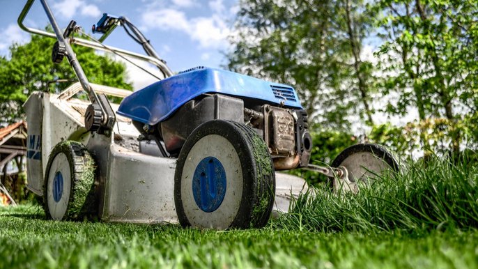 Łódź wprowadza standardy utrzymania trawników na terenach miejskich - fot. CC0 license