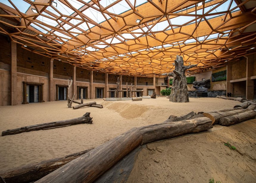 fot. mat. pras. zoo w Łodzi