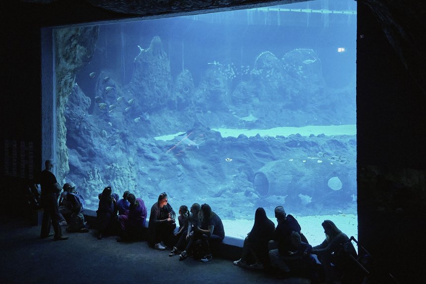 fot. Radosław Jóźwiak