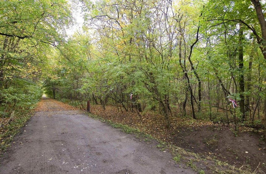 Fot. Andrzej Janecki/UMŁ