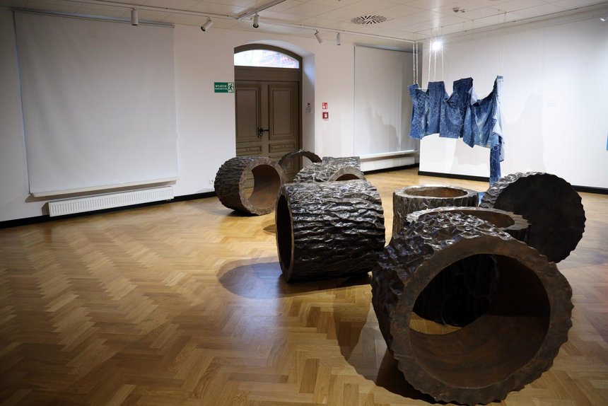 Wystawa. Na podłodze ustawione luźno kręgi imitujące pocięte puste pnie drzewa.