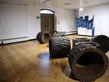 Wystawa. Na podłodze ustawione luźno kręgi imitujące pocięte puste pnie drzewa.