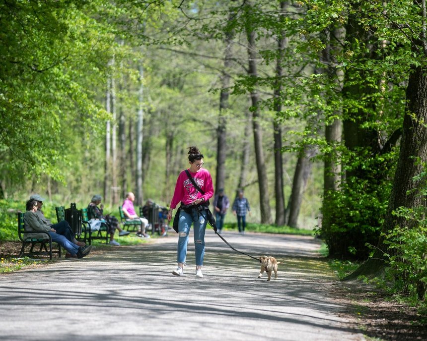 fot. Paweł Łacheta