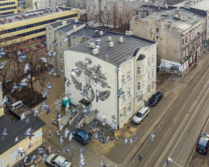 fot. Stefan Brajter / mat. UMŁ