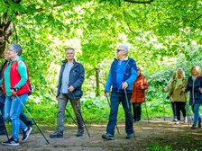 Ludzie uprawiający nordic walking w Parku Dąbrowskiego 