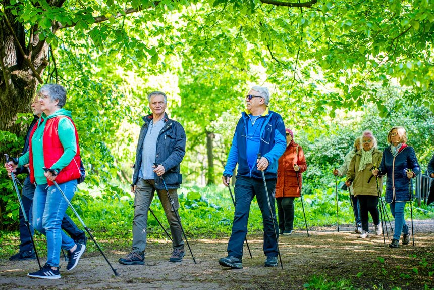Ludzie uprawiający nordic walking w Parku Dąbrowskiego 