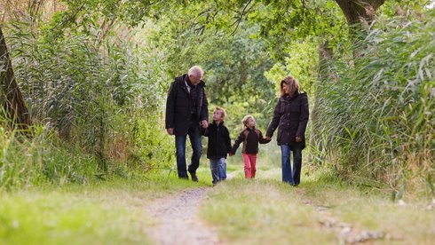 fot. ENVATO ELEMENTS