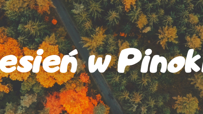 Jesień w Pinokiu może być super! Przekonacie się razem z nami? 