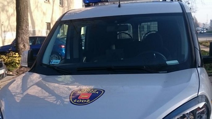 Strażnicy interweniowali 